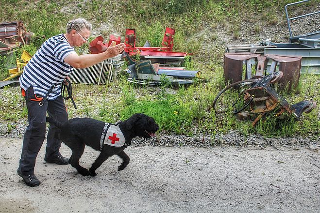 Ausbildung der Rettungshunde