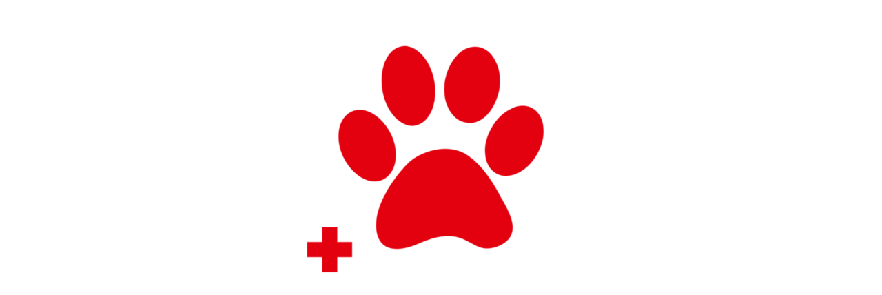 Patenschaft